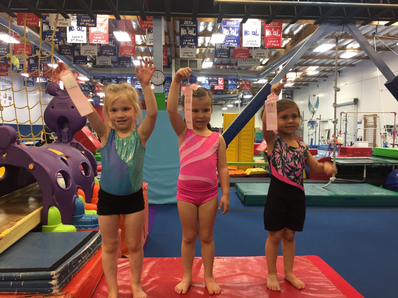 Home Airborne Gymnastics Santa Clara, CA